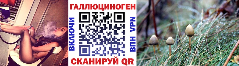 Галлюциногенные грибы Psilocybine cubensis это клад Белозерск купить наркотик